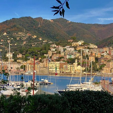 Bella Vacanza - City Center -Air Conditioning -Wi-Fi Rapallo Ngoại thất bức ảnh