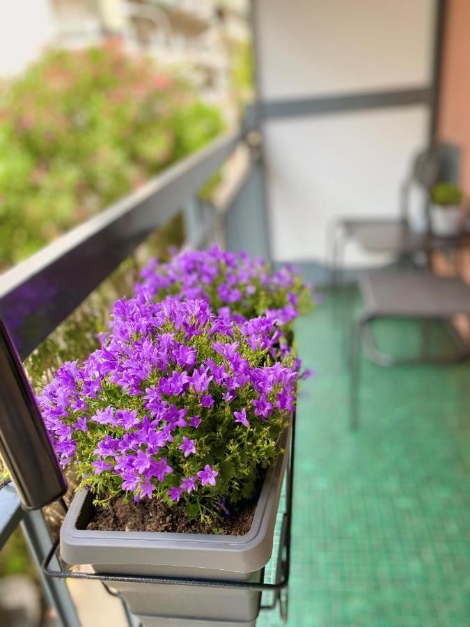Bella Vacanza - City Center -Air Conditioning -Wi-Fi Rapallo Ngoại thất bức ảnh